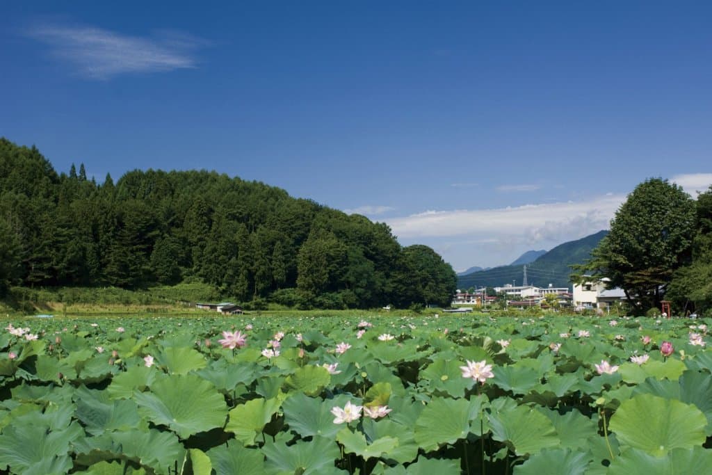 明見湖(施設外)