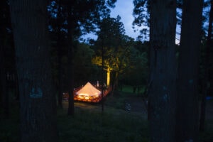 THE FARM - Image 1