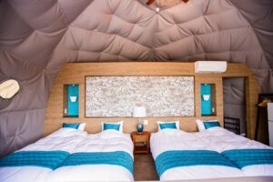 Mt.Fuji Glamping Terrace MINENOHANA(マウント富士グランピングテラス嶺乃華) - Image 1