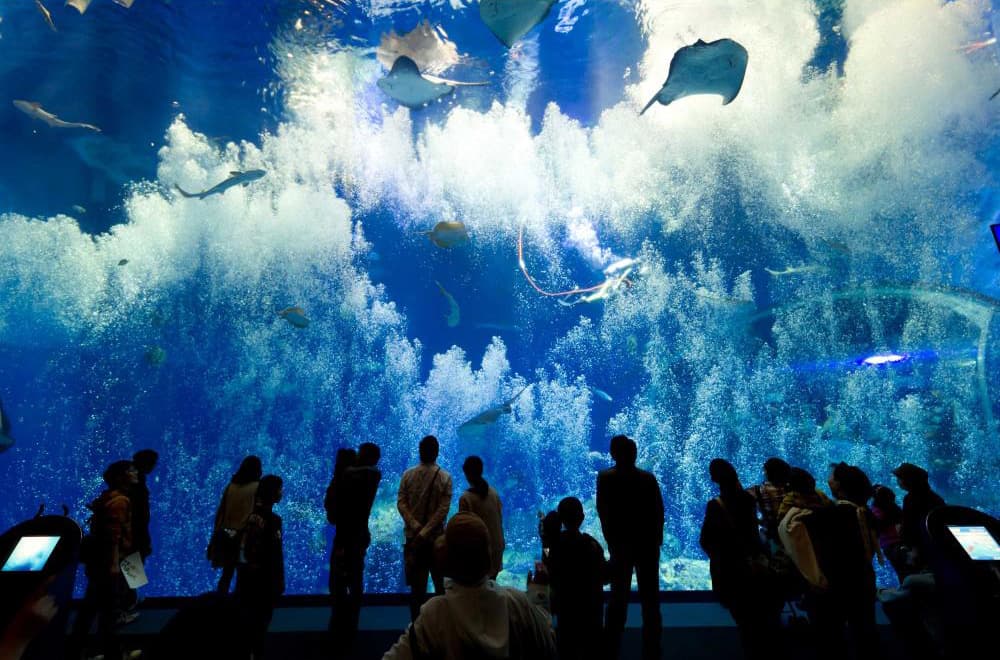 アクアワールド茨城県大洗水族館(施設外)
