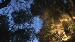 Nature Healing Lounge THE OUT – フォレストガーデン - Image 2