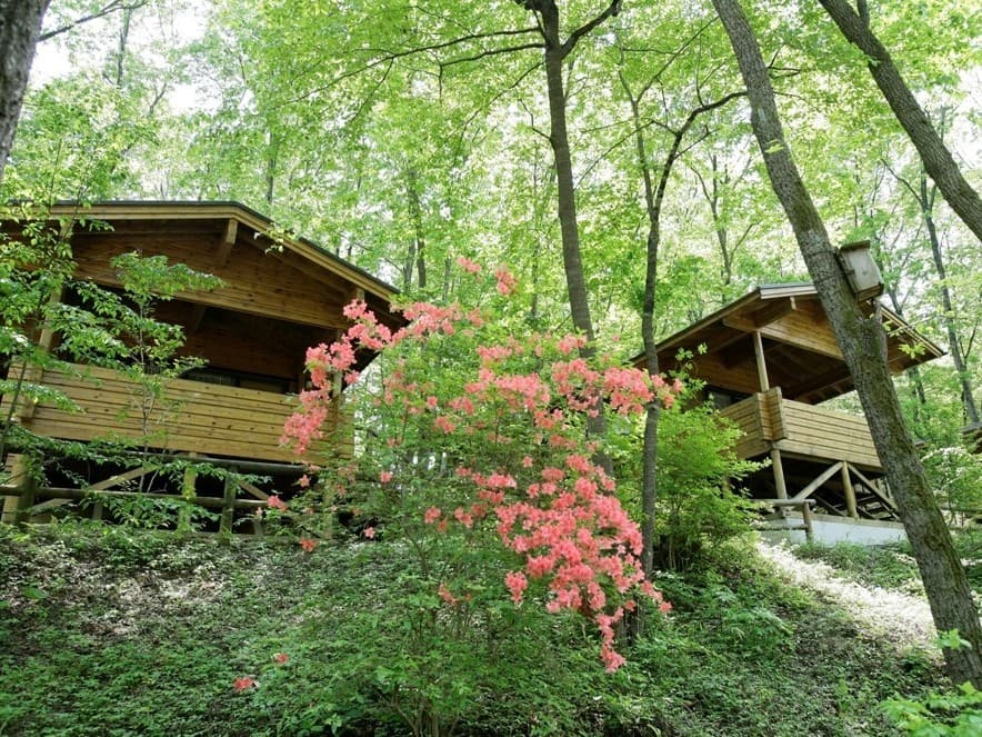 CAMP 4