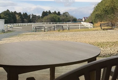 COLZA Farm stay Stable CAMP - Image 6
