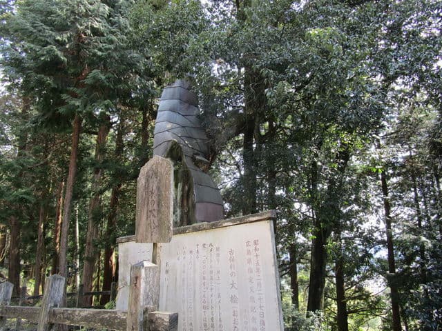 古保利の大檜 【施設外】