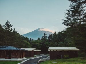 PICA Fujiyama - Image 2
