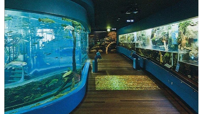 富士湧水の里水族館(施設外)