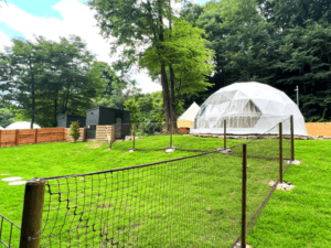 THE FIVE RIVERS FINE GLAMPING 群馬白沢 - Image 4