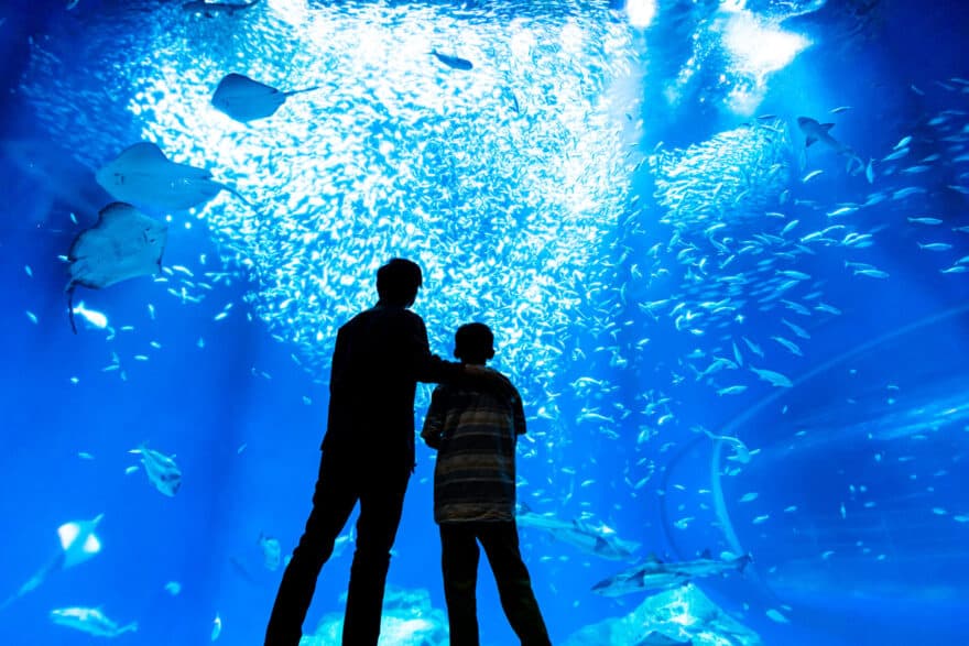 水族館や海水浴場!観光地へのアクセス抜群