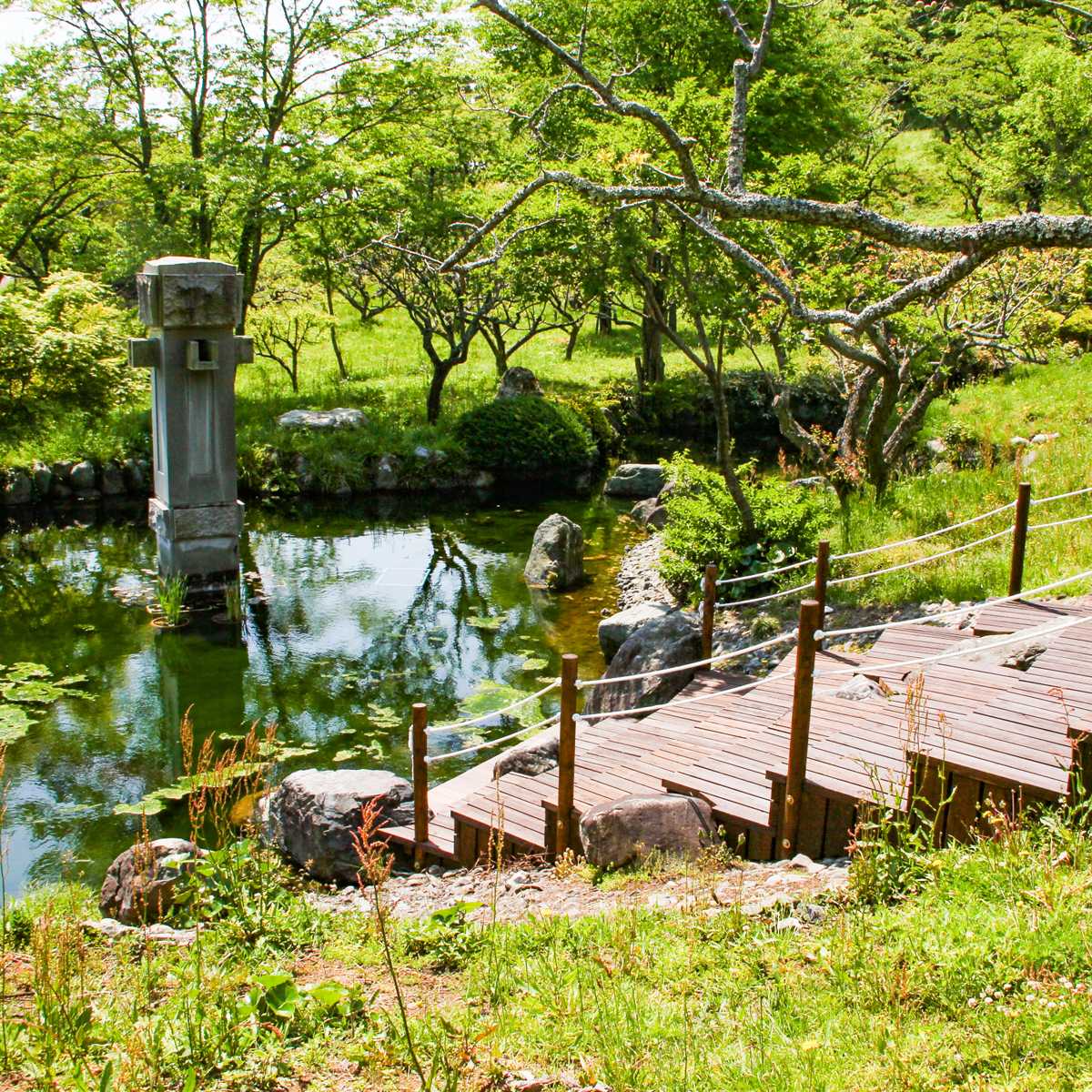 辻村植物公園【施設外】
