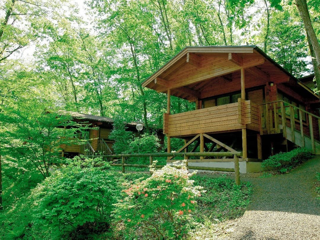 CAMP 6