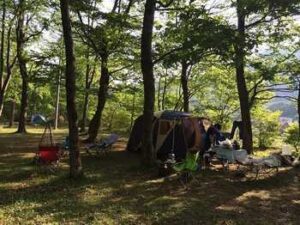 グリーンパークふきわれ - Image 5
