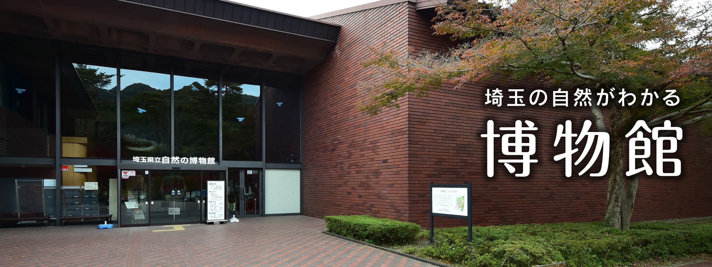 埼玉県立自然の博物館(施設外)