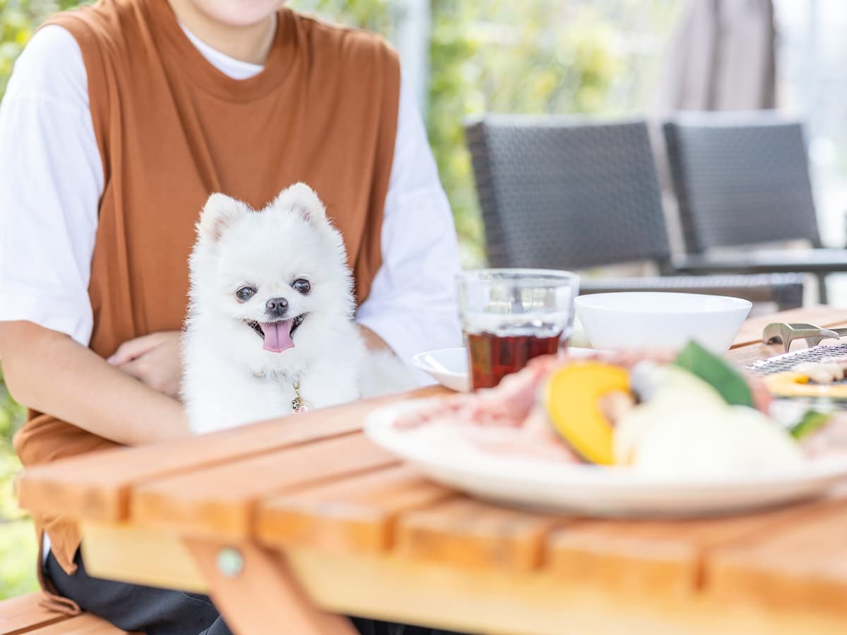 ペットも一緒のアウトドアを実現
