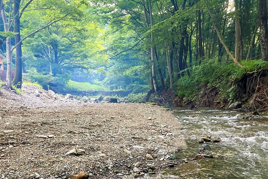 森と川が味わえる立地