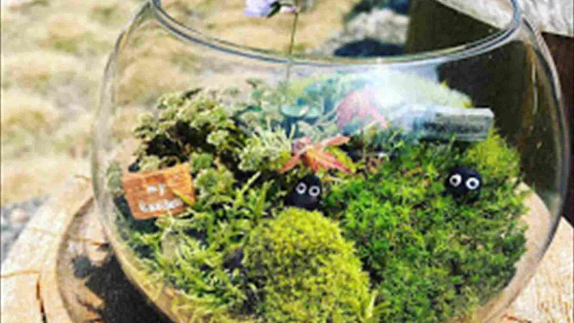 苔テラリウム【施設内】