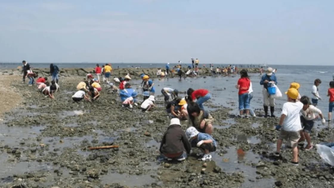 山田海岸潮干狩り場
