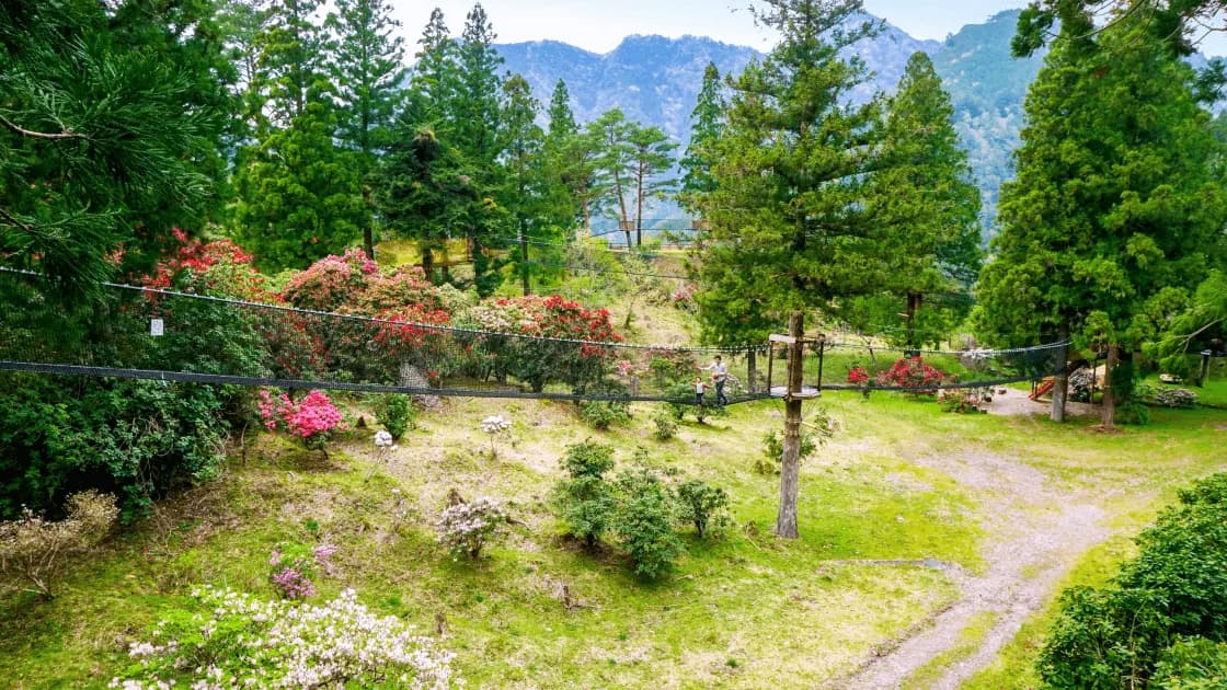 十津川村の豊かな自然