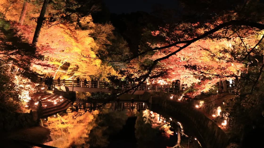岩屋堂公園