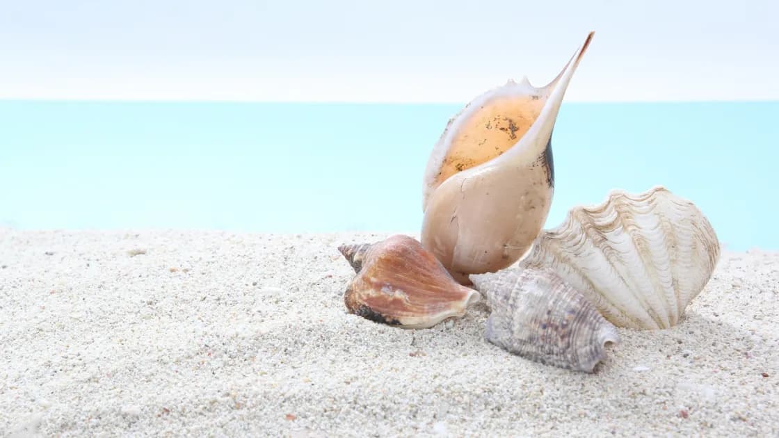 徒歩5分で海へ