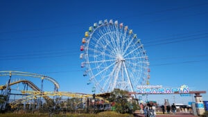 ETOWA KISARAZU(エトワ木更津) - Image 4