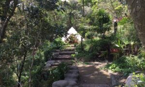 Nature Healing Lounge THE OUT – オーシャンビューグランピング - Image 2