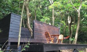 Nature Healing Lounge THE OUT – オーシャンビューグランピング - Image 4