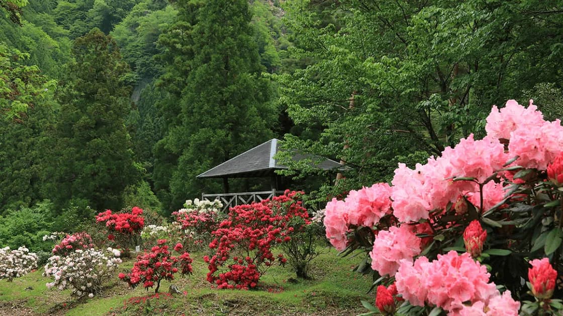 21世紀の森林植物公園