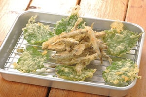 芦ノ湖キャンプ村 - Image 4