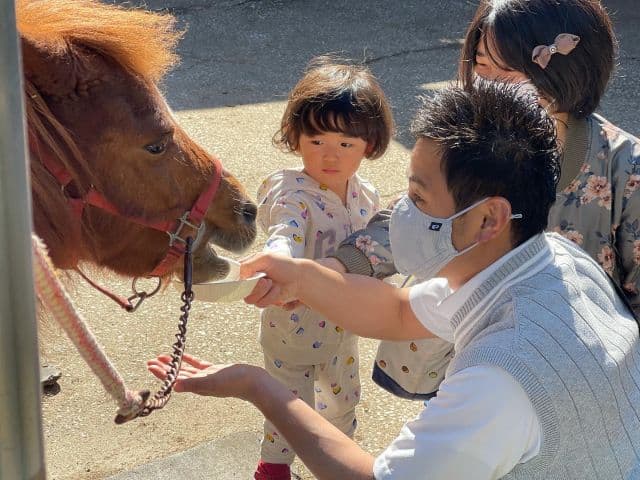 馬のふれあい体験(施設外)