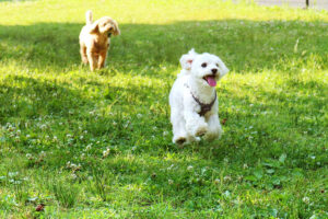 季楽 -KIRA- - Slide 6