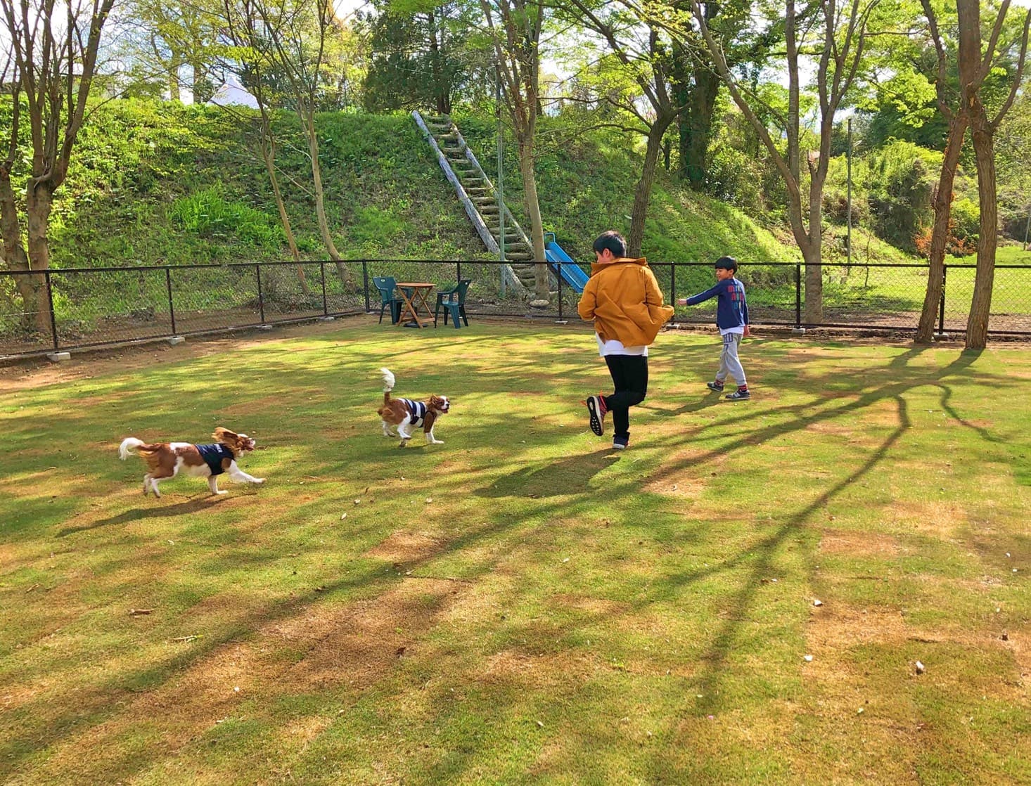 ドッグラン