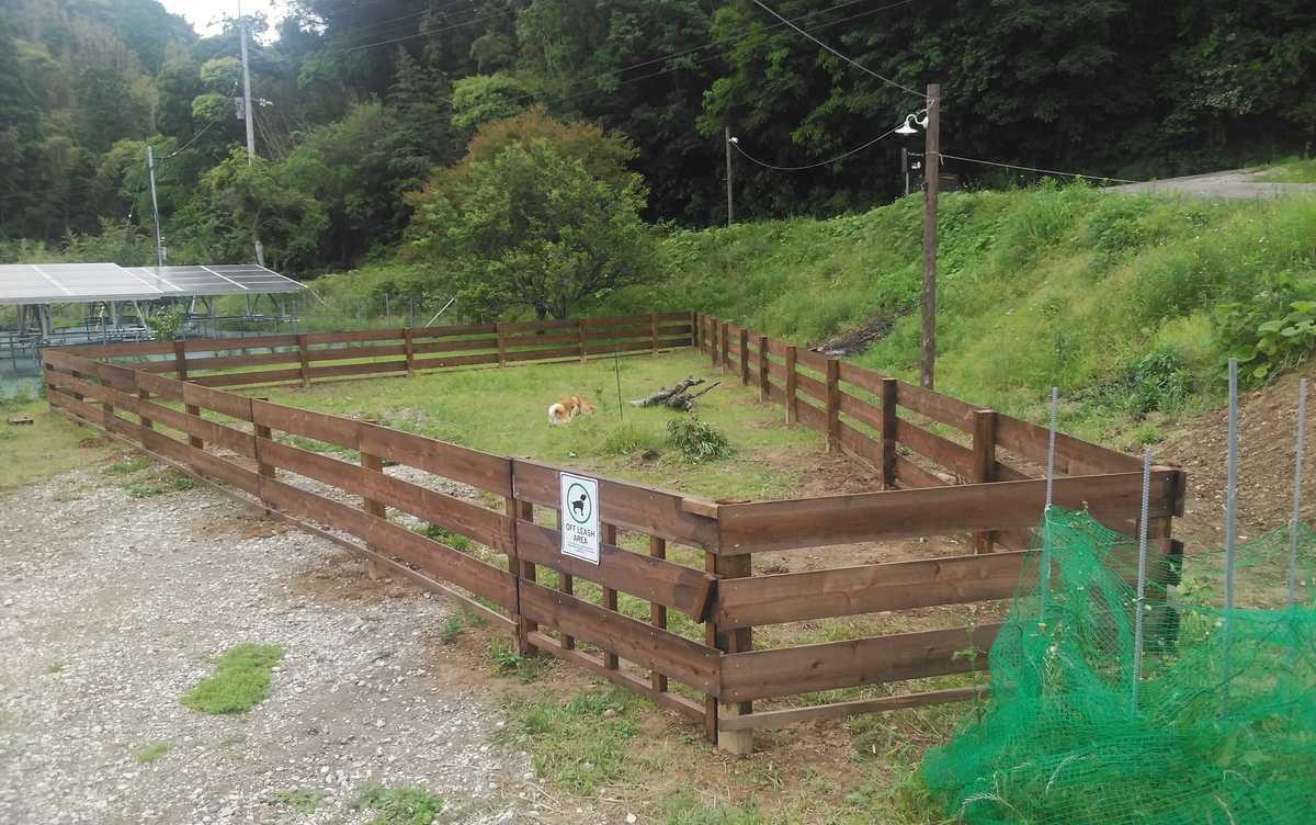 愛犬とも一緒に楽しむグランピング