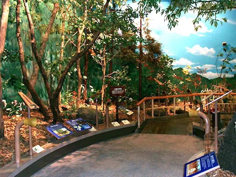 千葉県立館山野鳥の森【施設外】
