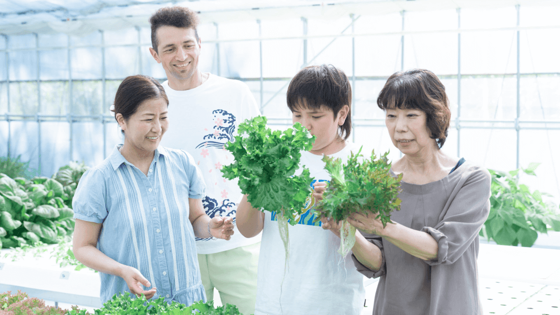 水耕栽培収穫【施設内】