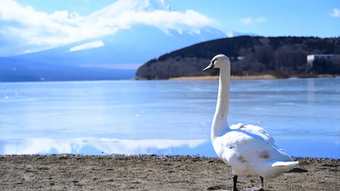 山中湖