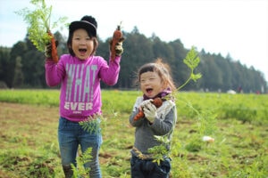THE FARM - Image 4
