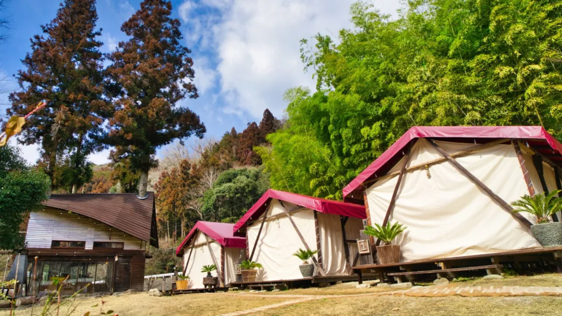 ウッドデザインパーク 岡崎 - Image 1
