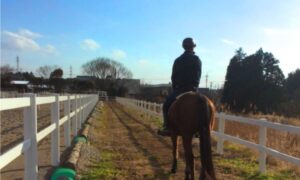 COLZA Farm stay Stable CAMP - Image 1