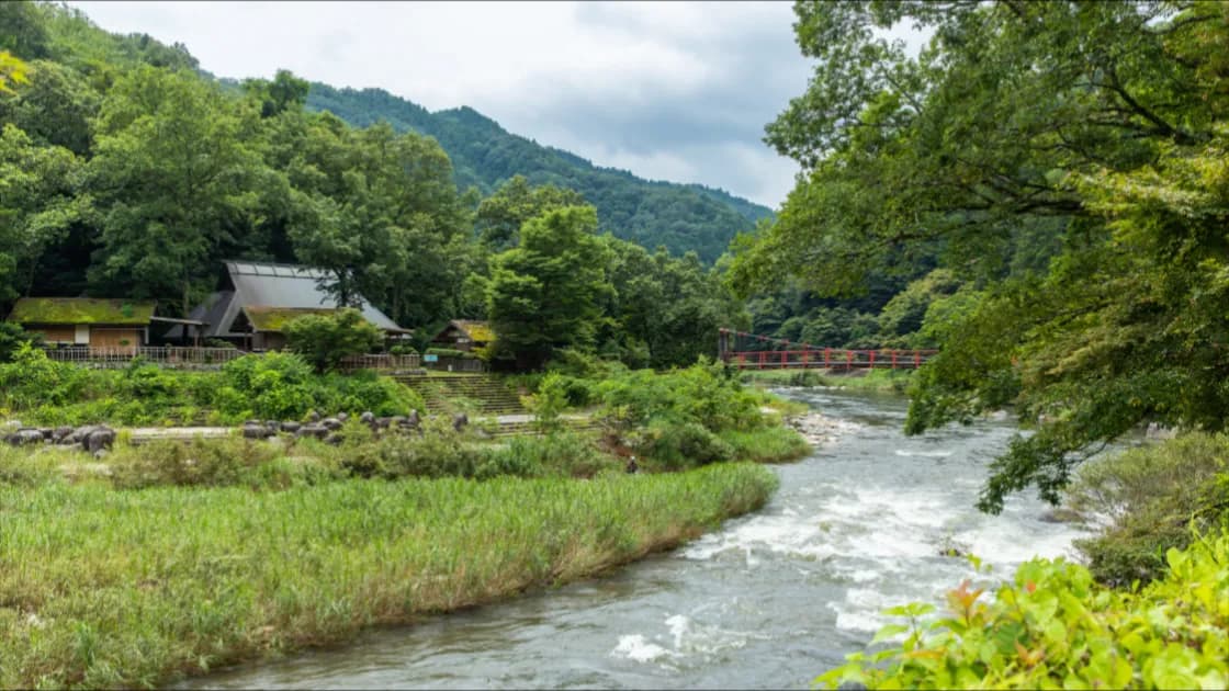香嵐渓の自然