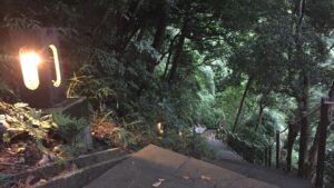 Nature Healing Lounge THE OUT – フォレストガーデン - Image 1