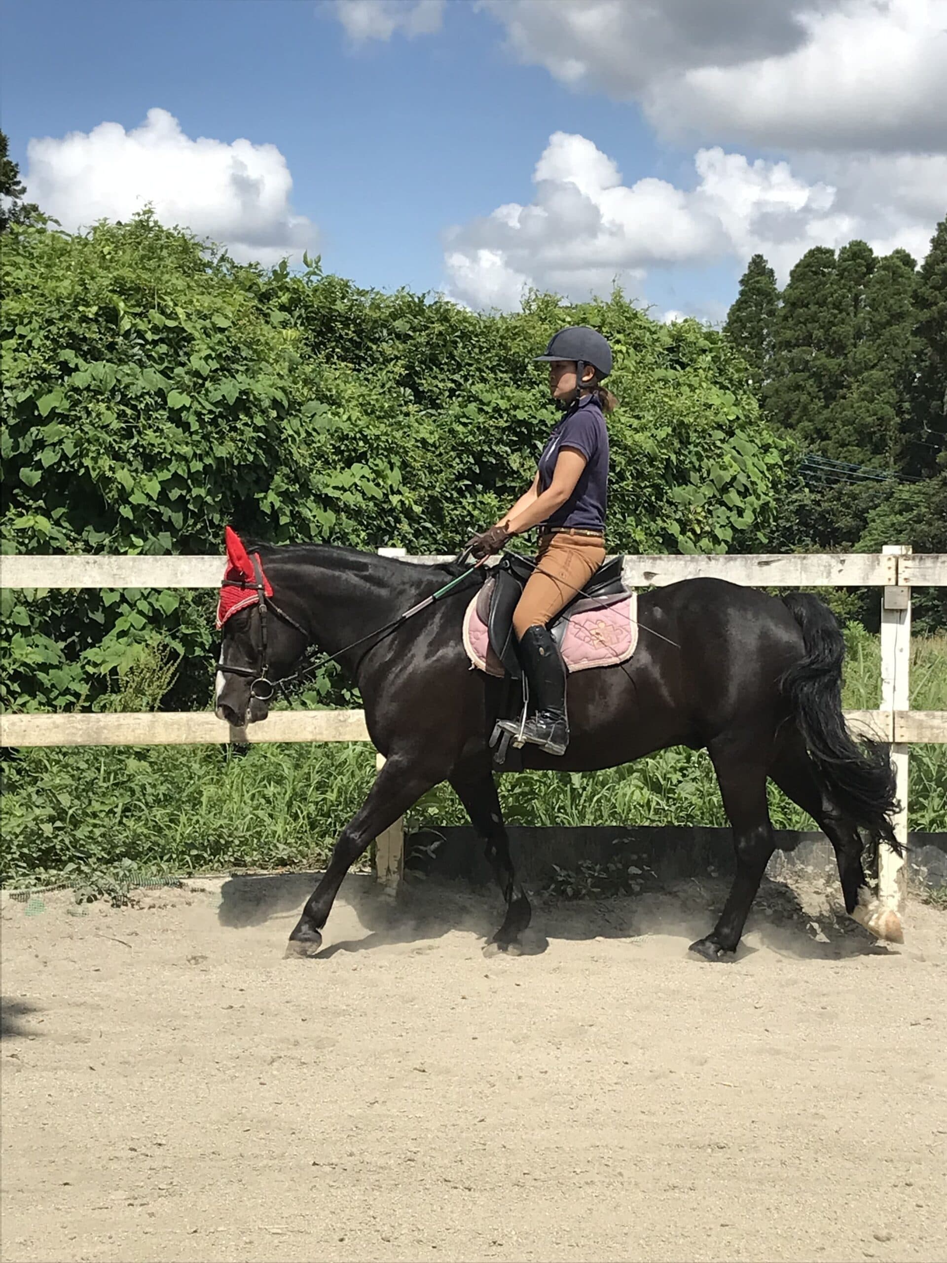 乗馬(施設内)