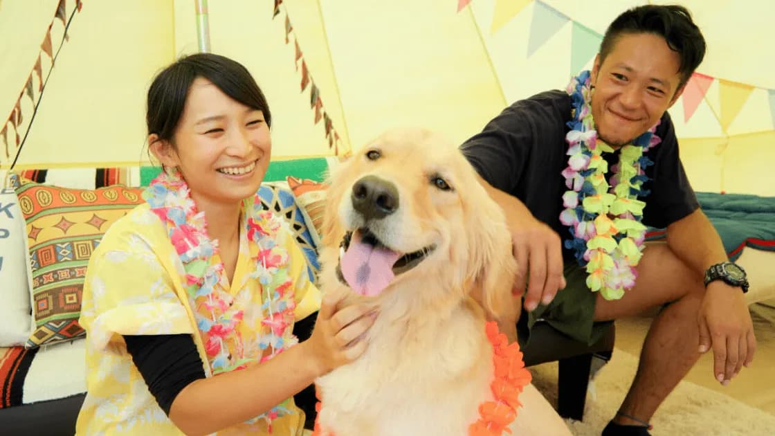 専用ドッグラン付きの客室