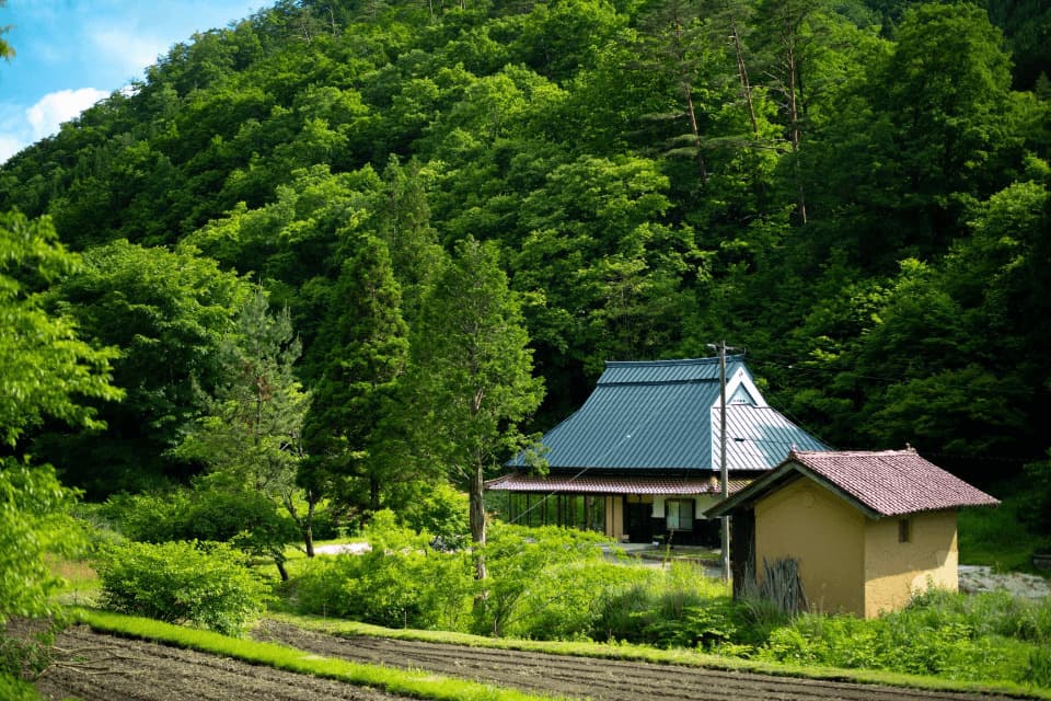 田舎ならではの景色