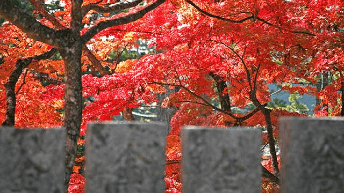 紅葉の名所 秋の高野山