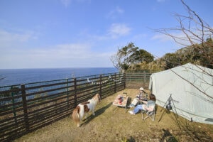 京急油壺温泉キャンプパーク - Image 4