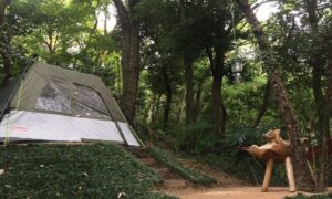 Nature Healing Lounge THE OUT – スピリチュアルドラゴンノーズ - Image 1